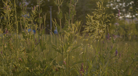 Similar image 21072652