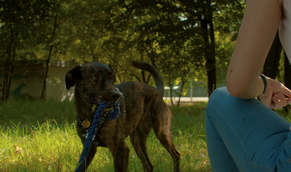 Similar image 21072679