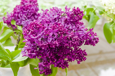 Similar image 21071948