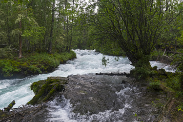 Similar image 21071950