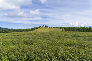 Similar image 21071956