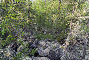 Similar image 21071957