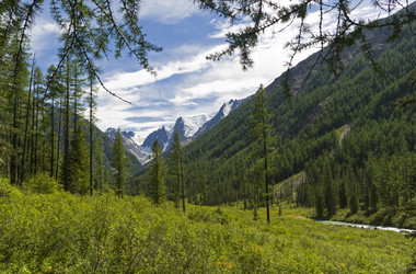 Similar image 21071960