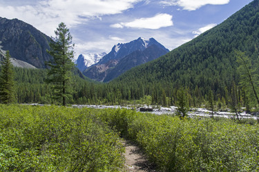 Similar image 21071961