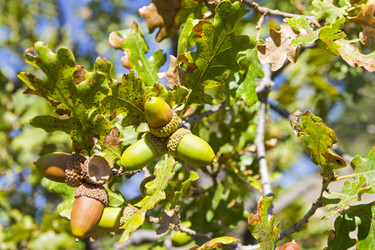 Similar image 21071966