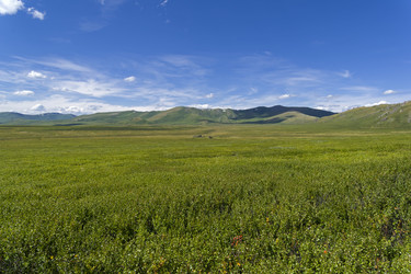 Similar image 21071977