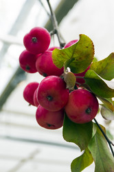 Similar image 21071992