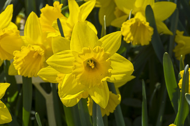 Similar image 21071995