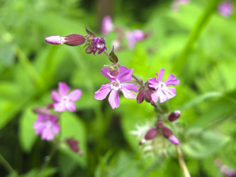 Similar image 21072547