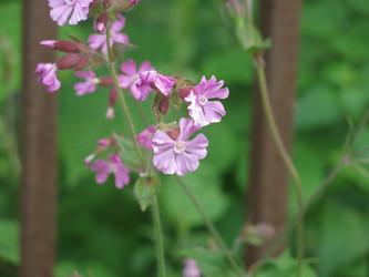 Similar image 21072548