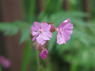 Similar image 21072549