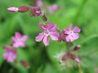 Similar image 21072550