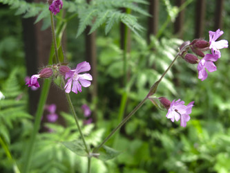 Similar image 21072551