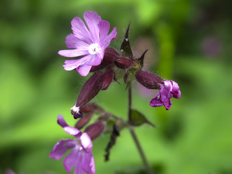 Similar image 21072623