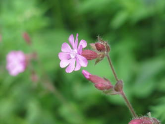 Similar image 21072624