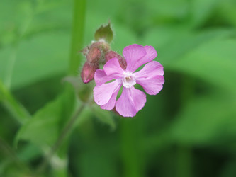 Similar image 21072625