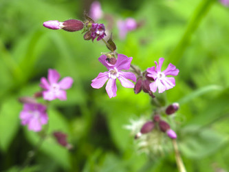 Similar image 21072627