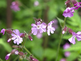 Similar image 21072628