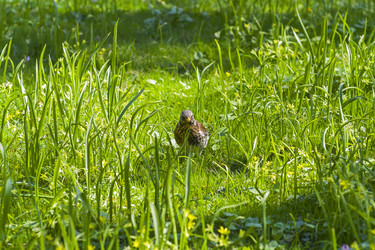 Similar image 21071997