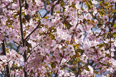 Similar image 21072000