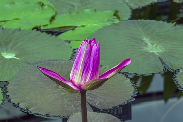 Similar image 21072002