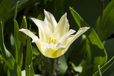 Similar image 21072003