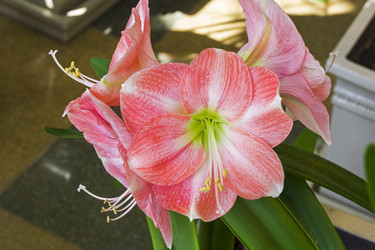 Similar image 21072004