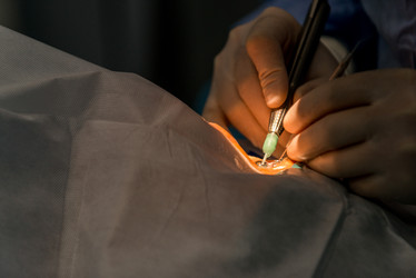 Similar image 21076817