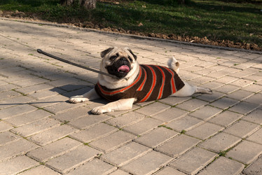 Similar image 21076586