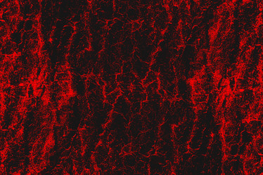 Similar image 21074210