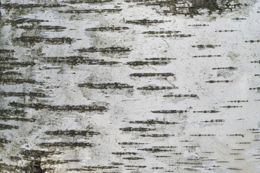 Similar image 21074212