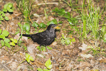 Similar image 21074214