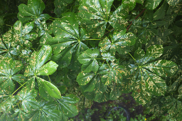 Similar image 21072552