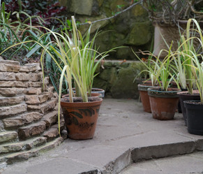 Similar image 21077072