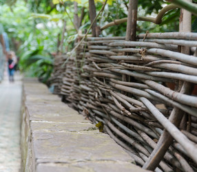 Similar image 21077092