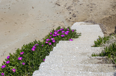 Similar image 21074215