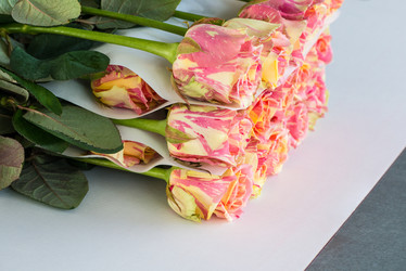 Similar image 21076759