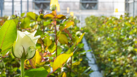 Similar image 21076772