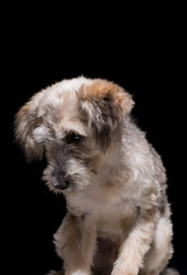 Similar image 21076781