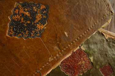 Similar image 21076849