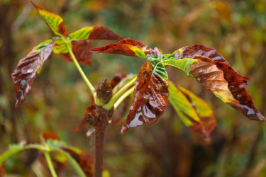 Similar image 21072556