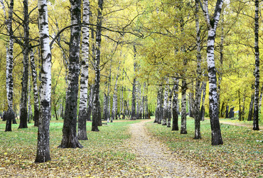 Similar image 21072721