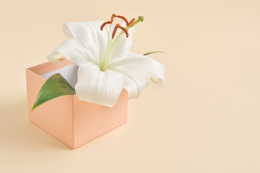 Similar image 21072823