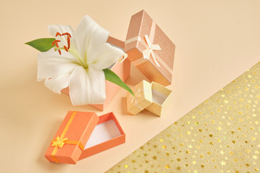 Similar image 21072824