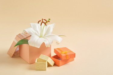 Similar image 21072825