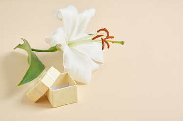 Similar image 21072830