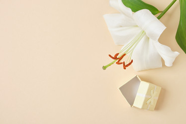 Similar image 21072833