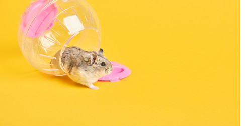 Similar image 21072847