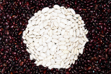 Similar image 21072725