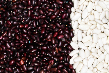 Similar image 21072726